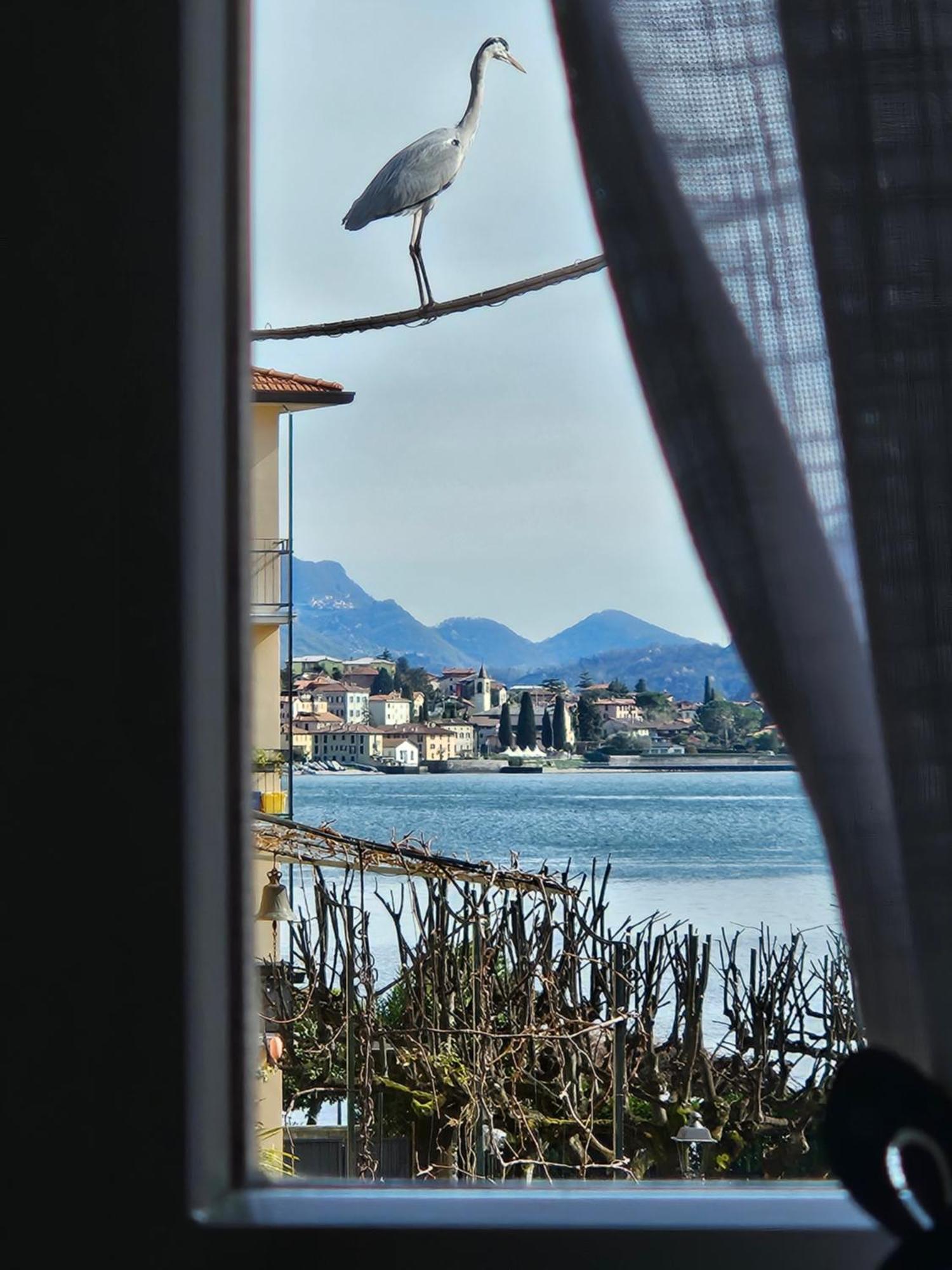 L'Airone - Casa Vacanza Mandello del Lario Buitenkant foto