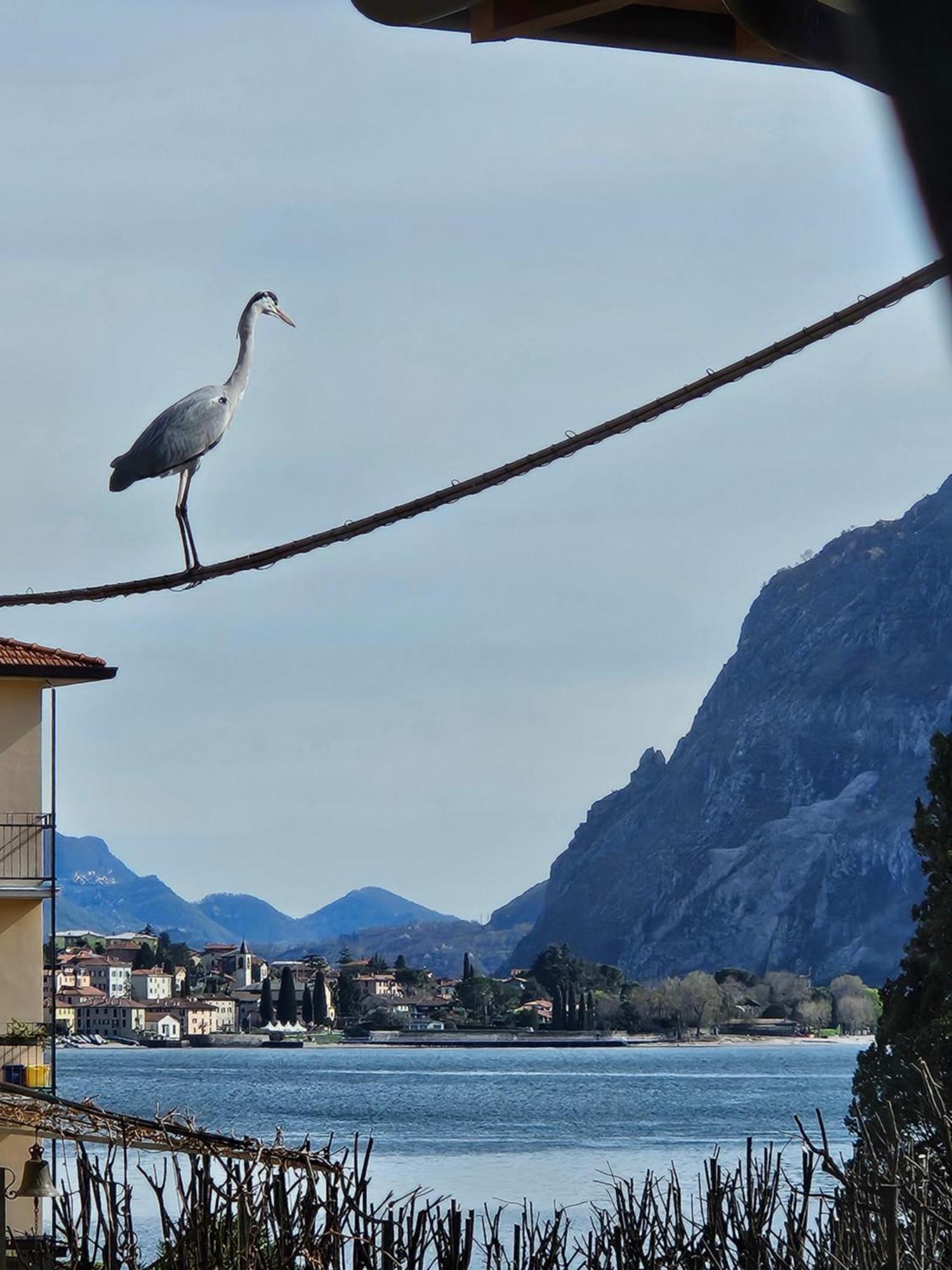 L'Airone - Casa Vacanza Mandello del Lario Buitenkant foto