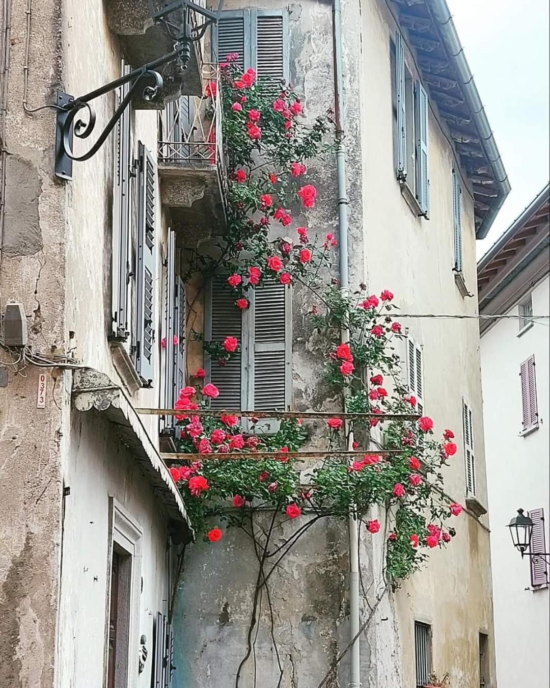 L'Airone - Casa Vacanza Mandello del Lario Buitenkant foto